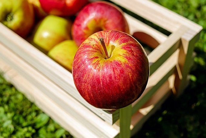 תפוחי – מדוע אנשים בוחרים לקנות פירות וירקות במשקים פרטיים
