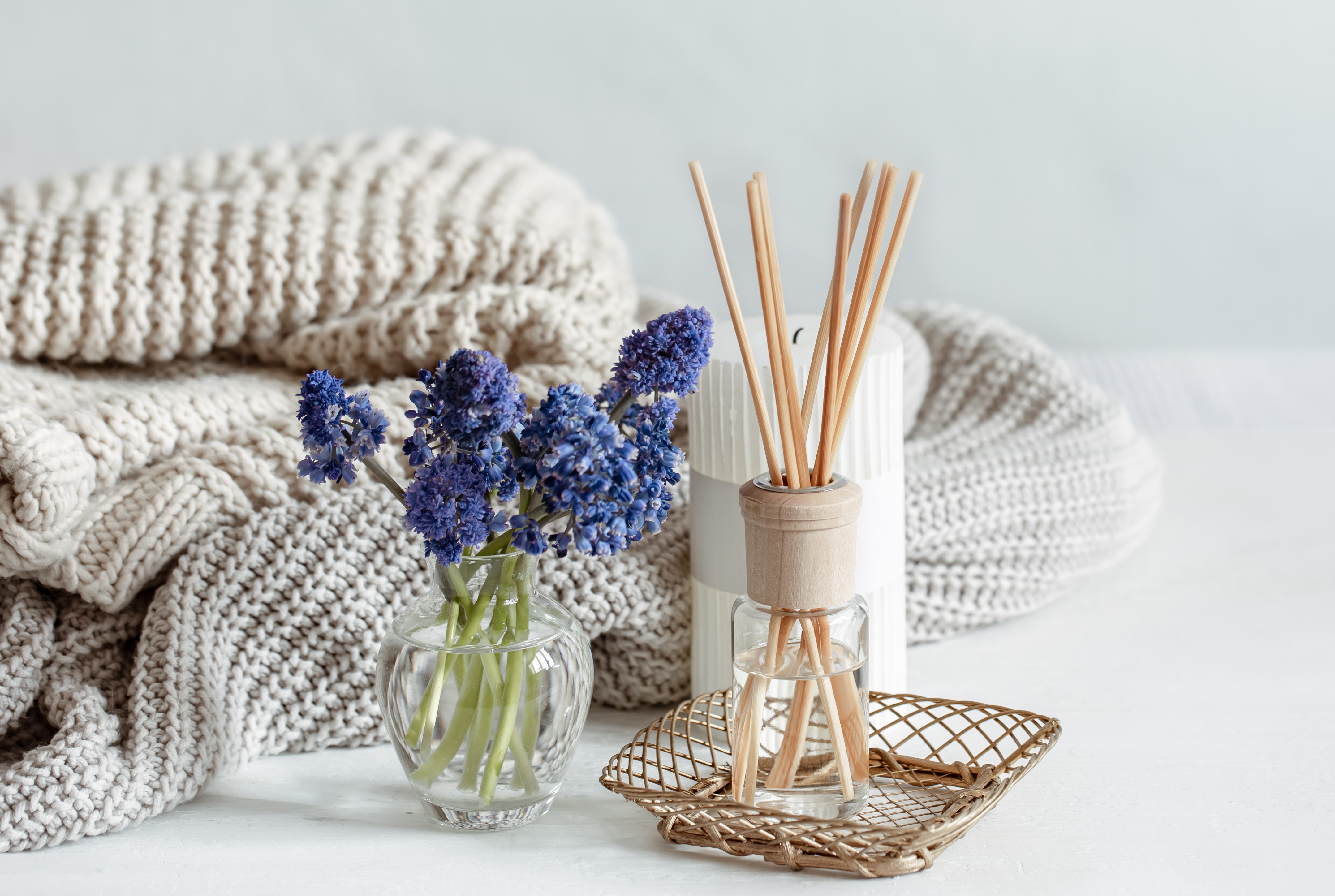 ������ ����� ���� ����� ����� ����� ����� ����