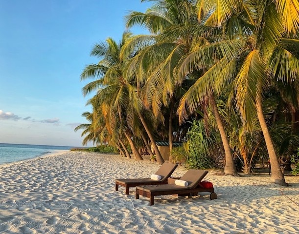 ����� �� ��������, ����� ������ �� ������ ������