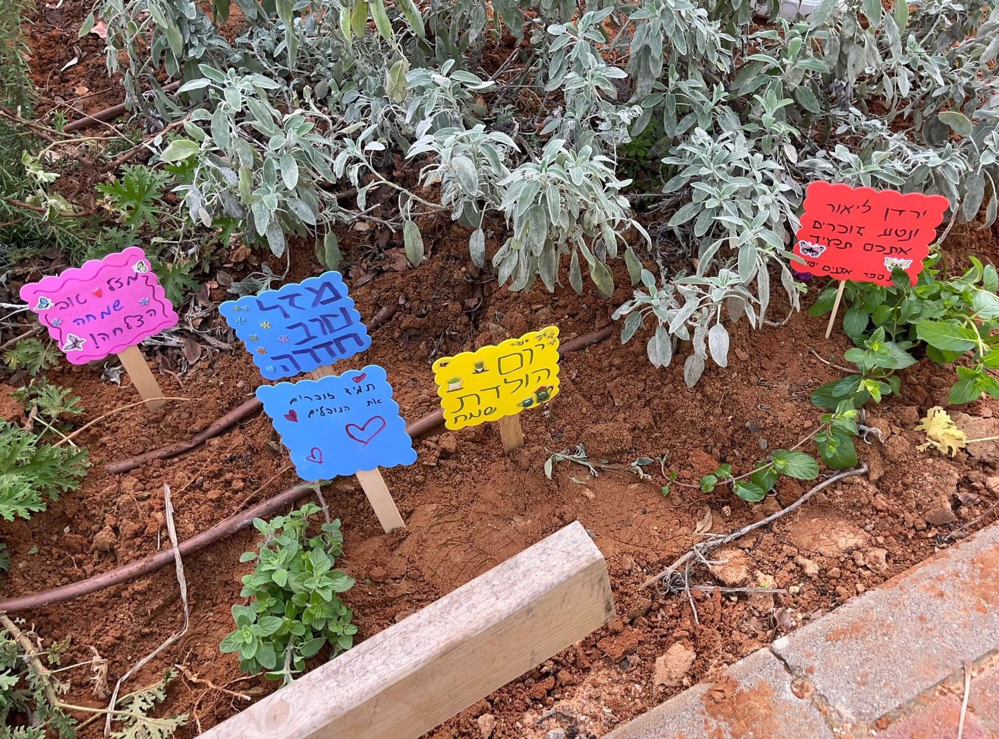 ������ ���� ������� ������ ����� �����