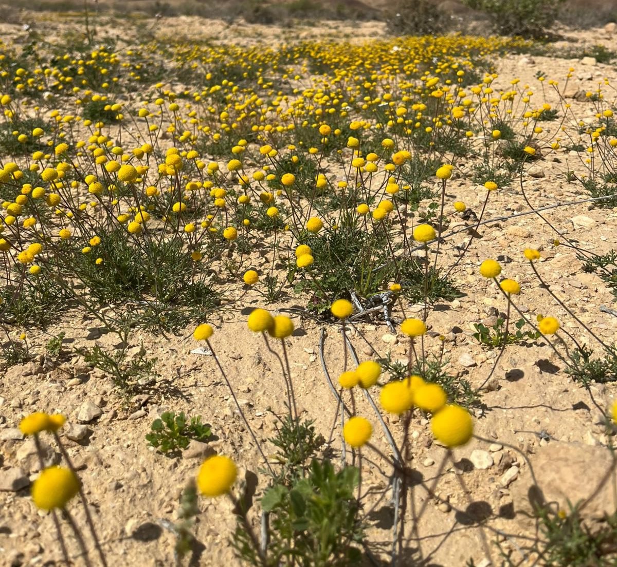 ����� ����� ����� ������